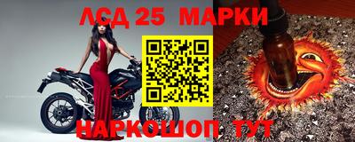 спайс Гагарин
