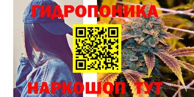 МДПВ Волгодонск