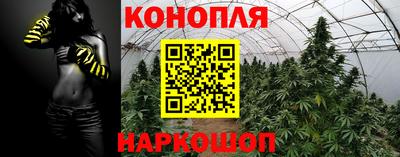 гашиш Гатчина