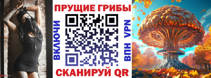 Псилоцибиновые грибы ЛСД  дарнет шоп  Донской 